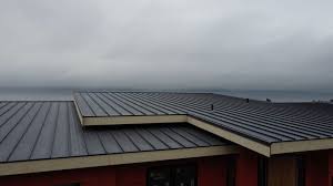 Best Rubber Roofing (EPDM, TPO)  in Beach City, TX